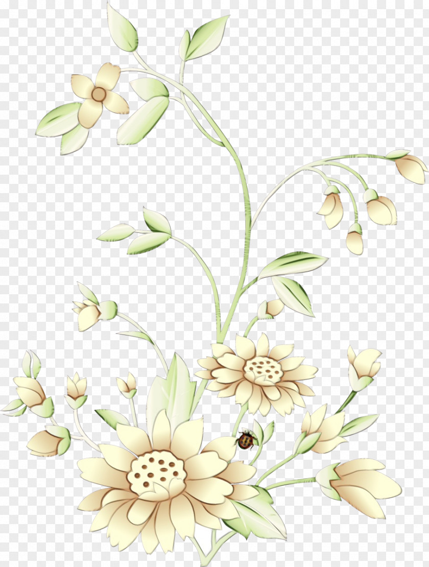Wildflower Floristry Watercolor Flower Background PNG