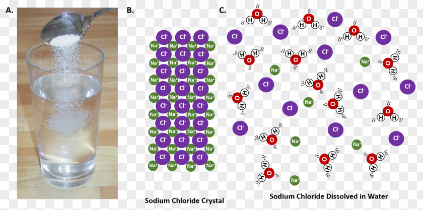 Dissolve Western Oregon University Chemistry Sodium Chloride Solubility PNG