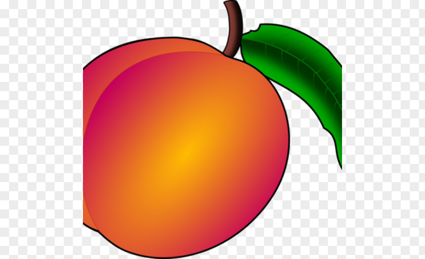 Apple Peach Apricot Fruit Clip Art PNG