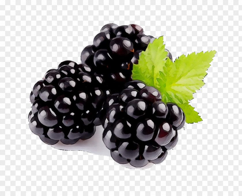 Bavarian Cream Fragrance Oil Flavor Blackberry Boysenberry PNG