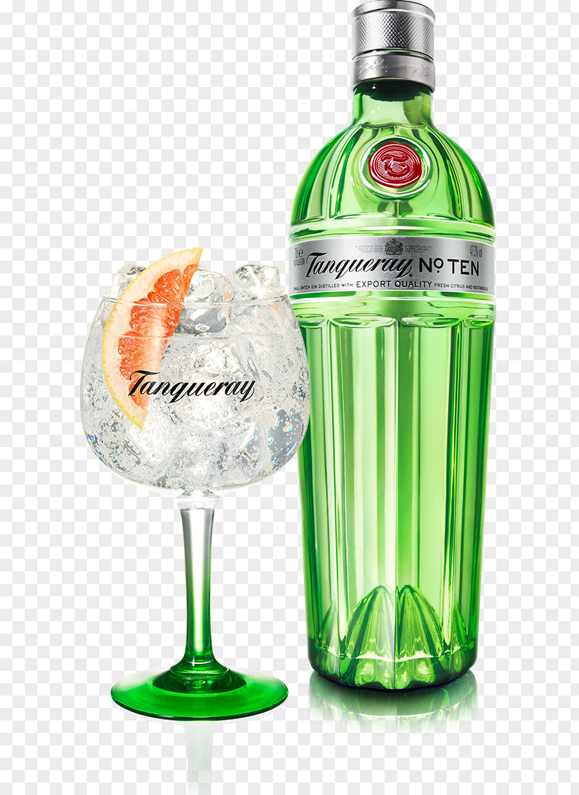 Exquisite Tanqueray Gin And Tonic Martini Distilled Beverage PNG