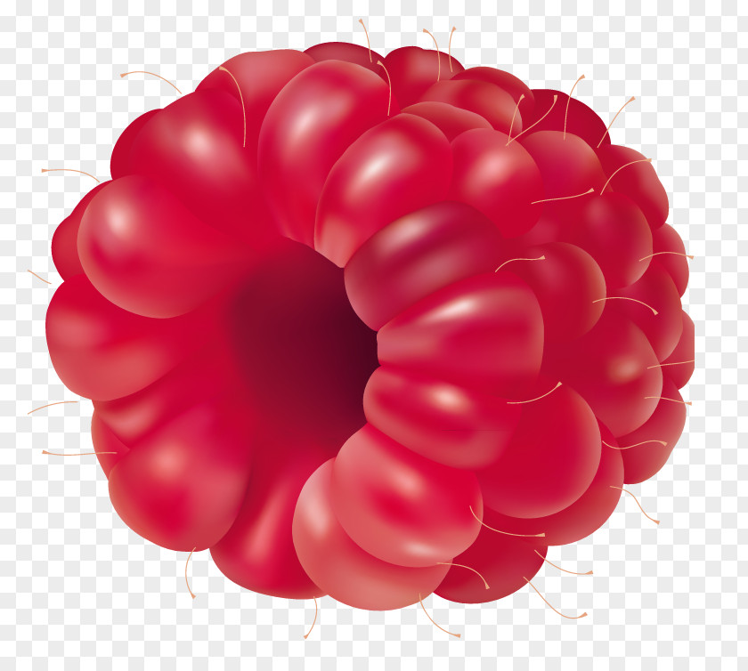 Mix Fruit Raspberry Clip Art PNG