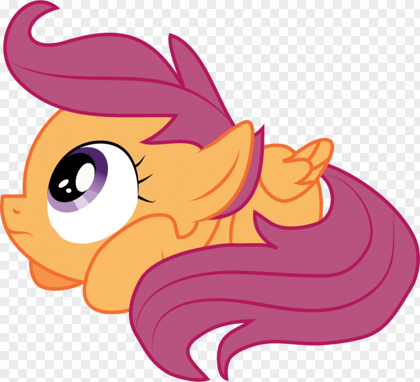 Ponyville Confidential Scootaloo Rarity Pinkie Pie Twilight Sparkle Rainbow Dash PNG