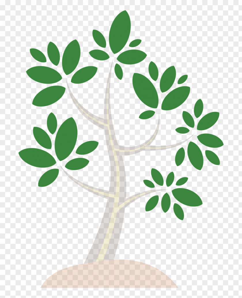 Clip Art Flower Plant Stem Leaf Pattern PNG