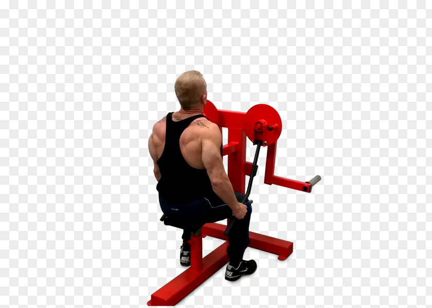 Fly Weight Training Rear Delt Raise Overhead Press Exercise Equipment PNG