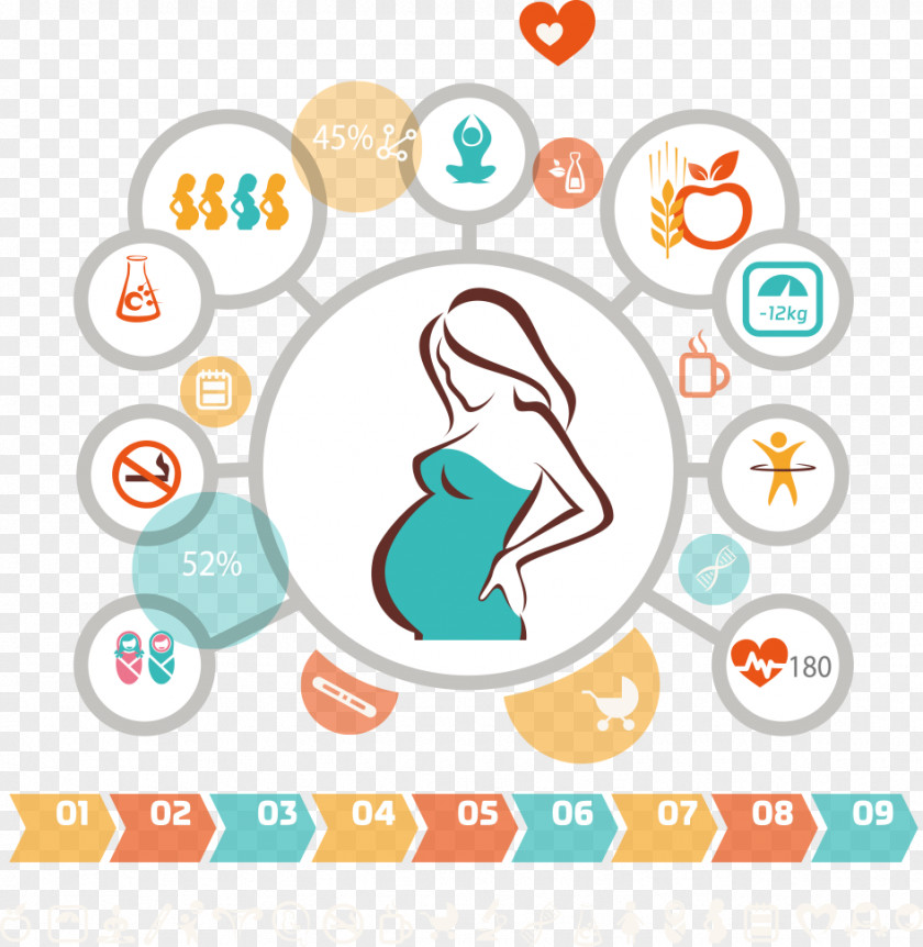 Pregnant Women Taboo Vector Information Pregnancy Infographic Woman Icon PNG