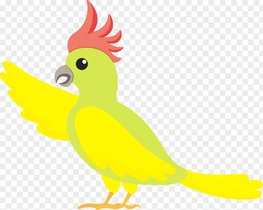 Rooster Parrots Chicken Beak Yellow PNG