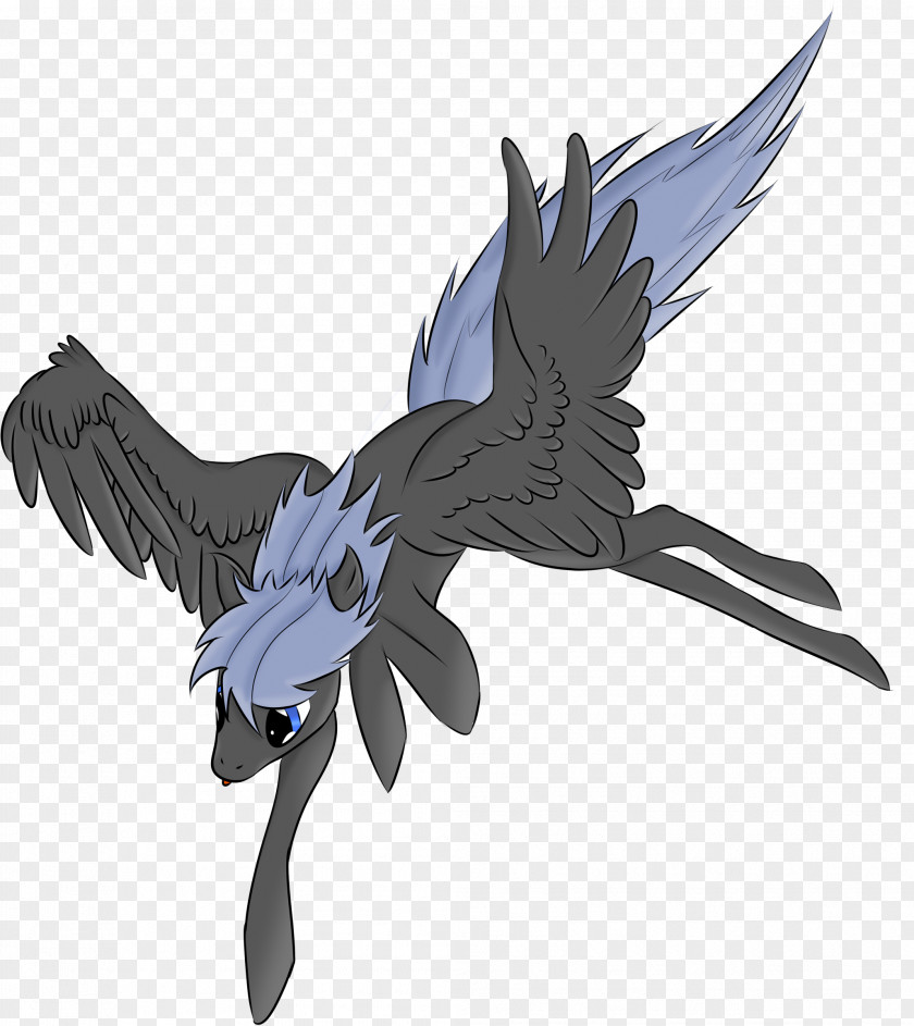Bird Beak Of Prey Cartoon Feather PNG