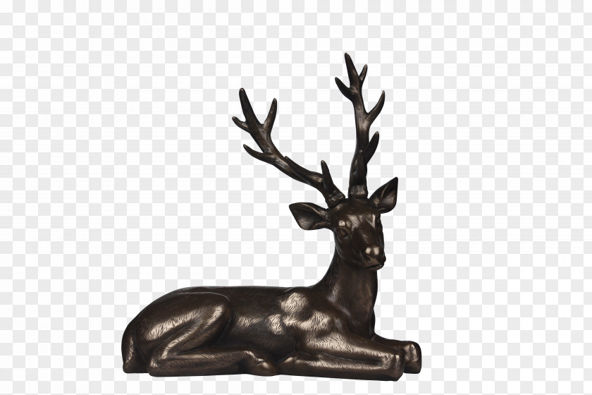 Deer Reindeer Antler PNG