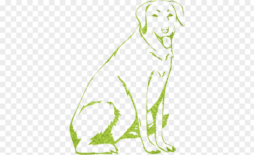 Dog Picture Material Labrador Retriever Coat Colour Genetics Puppy Golden Rottweiler PNG