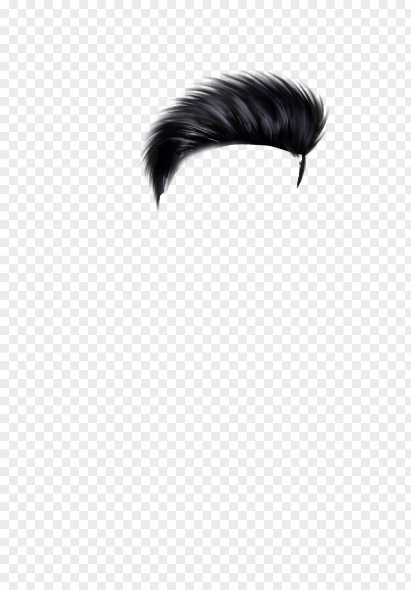 Feather Neck Black M PNG