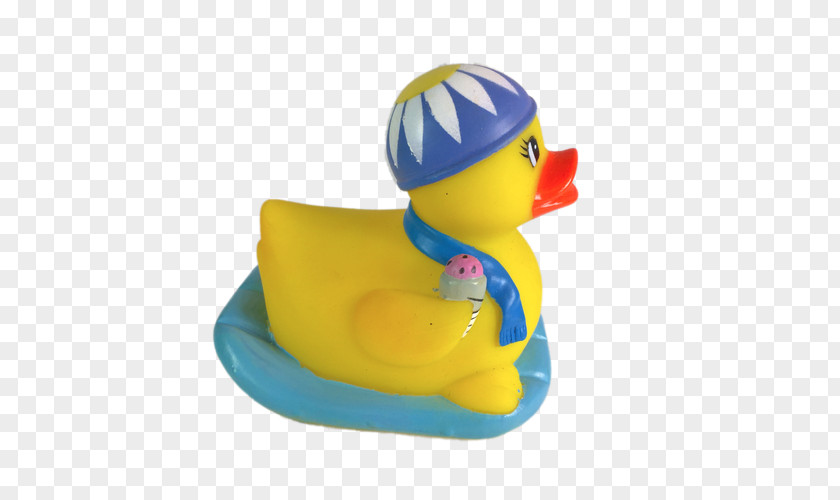 Financial Pop Floating Window Duck Water Bird Anatidae Goose PNG