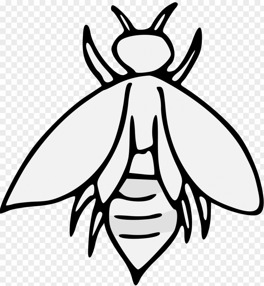 Insect Bee Pollinator Butterfly Clip Art PNG