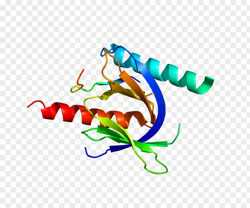 Neurons CD29 Integrin VLA-4 Receptor Reelin PNG