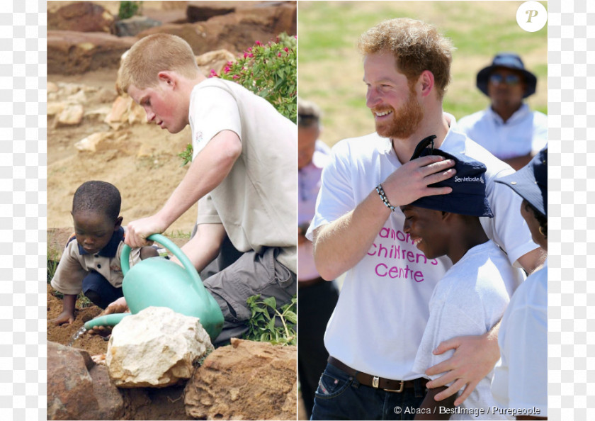 Prince Harry Lesotho Wedding Of And Meghan Markle Windsor Castle House Sentebale PNG