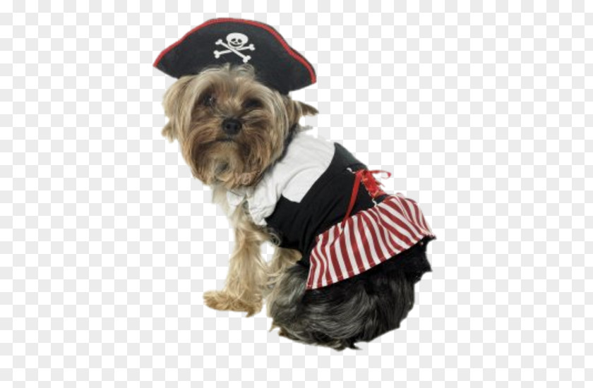 Puppy Morkie Dog Breed Yorkshire Terrier Costume PNG