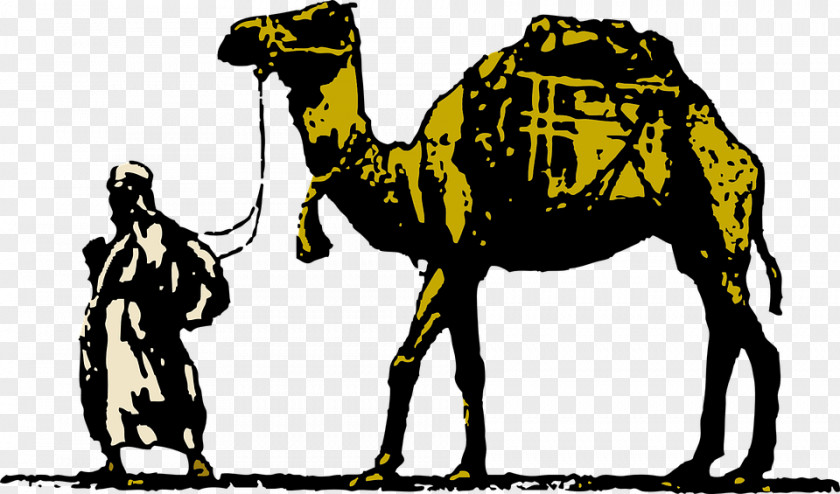 Camel,desert,animal Dromedary Free Content Clip Art PNG