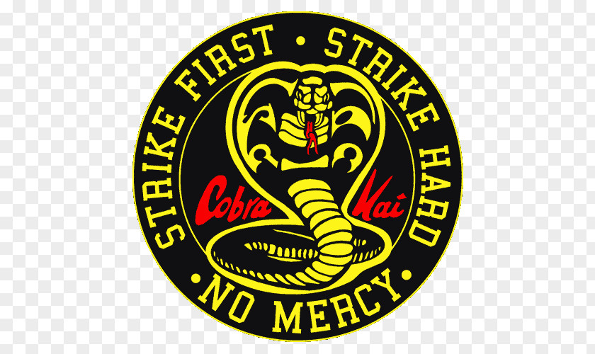 Cobra Kai The Karate Kid Johnny Lawrence Daniel Larusso Television Show Never Dies PNG
