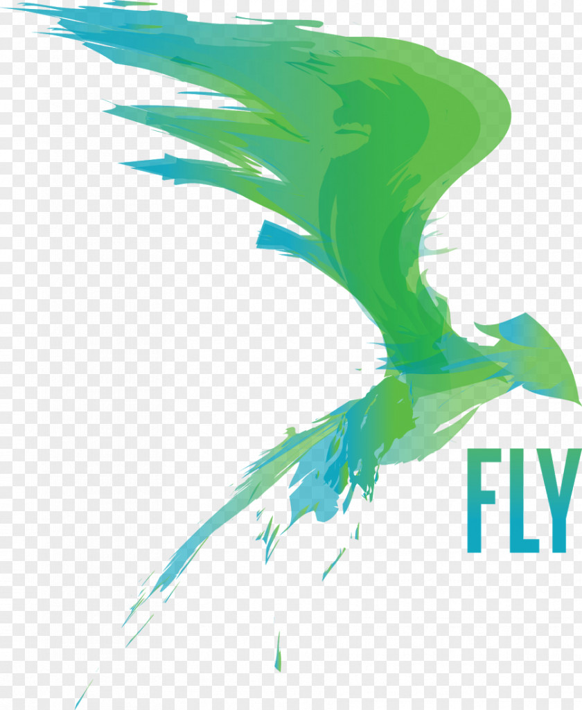 Feather Beak Graphic Design Desktop Wallpaper PNG