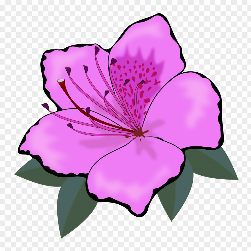 Hawaii Flower Orange Clip Art PNG