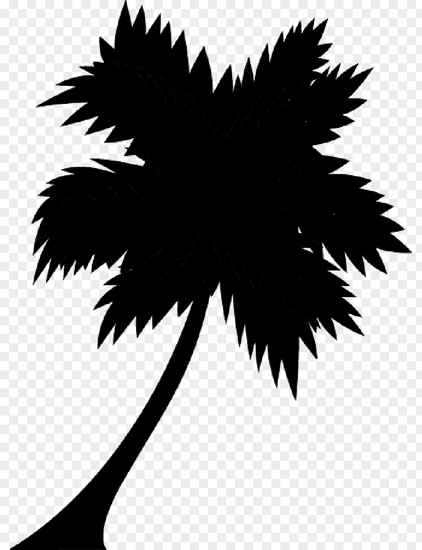 Palm Trees Illustration Graphics Art Silhouette PNG