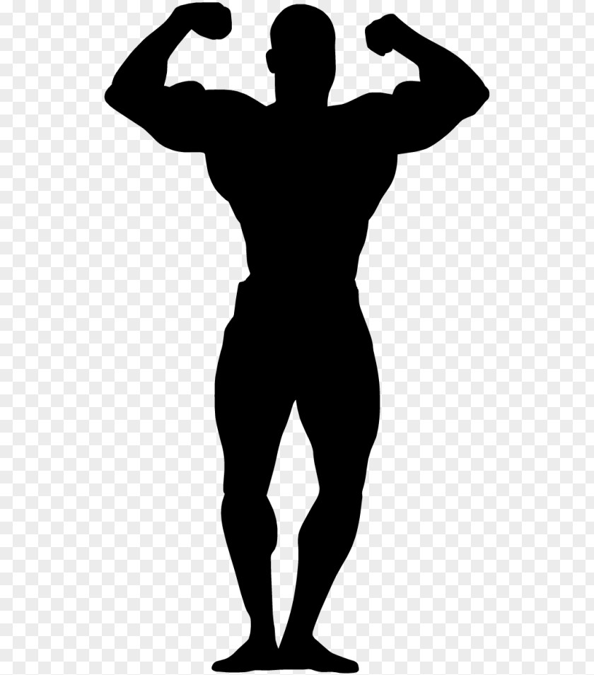 Bodybuilding Female Art Clip PNG