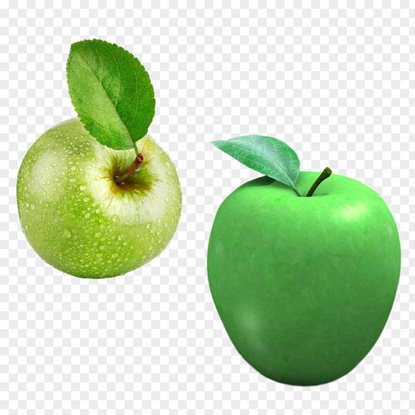 Green Apple Photography Clip Art PNG