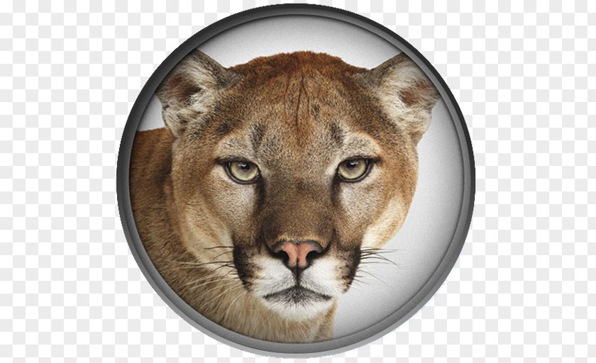 Lion Drawing OS X Mountain MacOS Mac Apple PNG