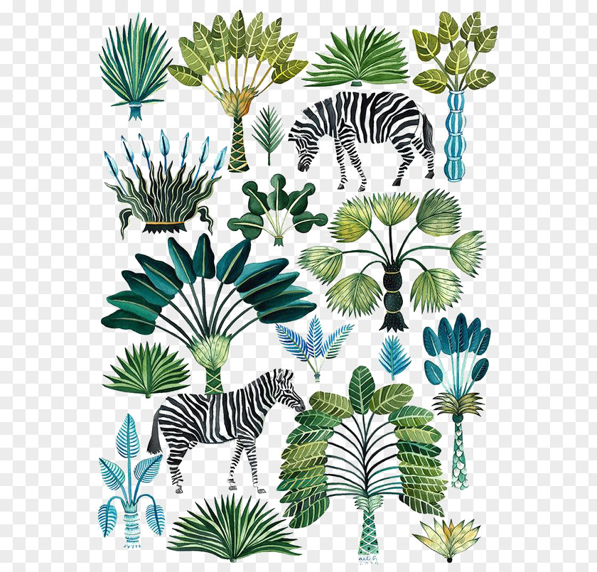 Tropical Plants Animals Fashion Forecasting Printing Spring Color PNG