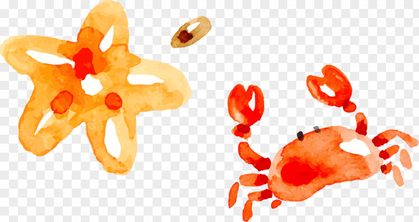 Watercolor Starfish Crab Painting PNG