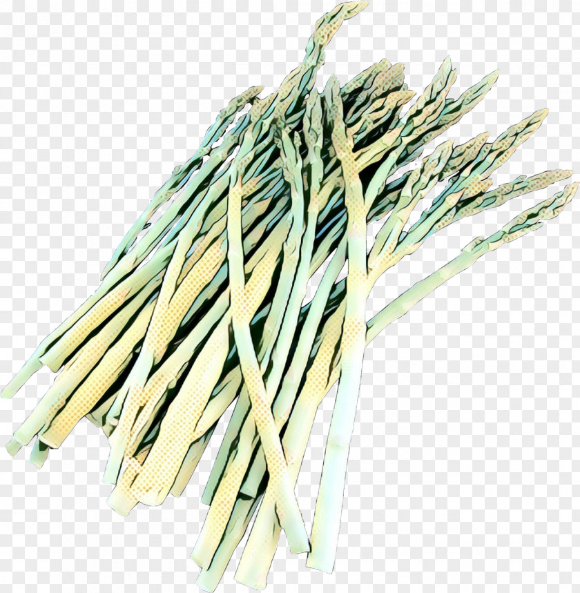 Elymus Repens Herb Welsh Onion Plant Vegetable Chives Grass PNG
