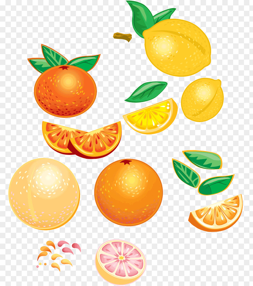 Fruit Splash Mandarin Orange Vegetarian Cuisine Tangerine Food PNG