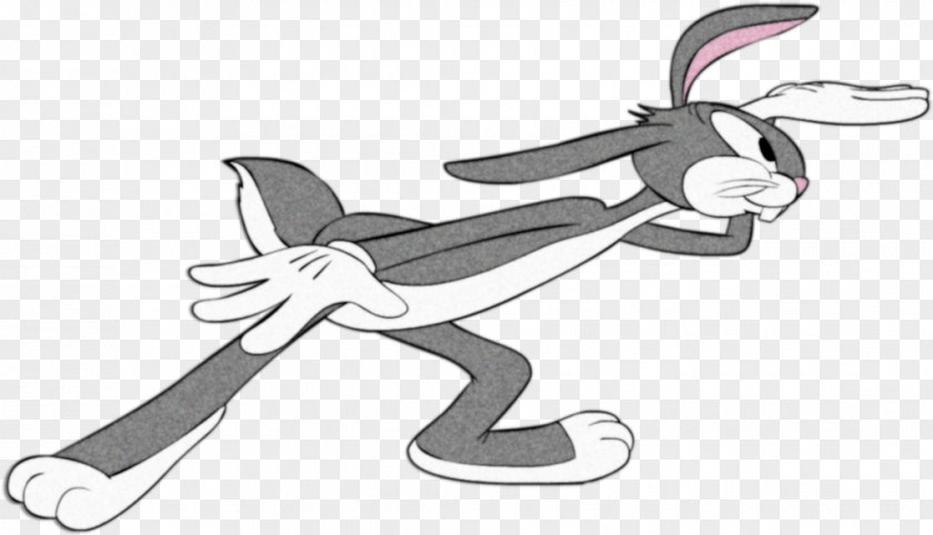 Rabbit Bugs Bunny Looney Tunes Cartoon Clip Art PNG