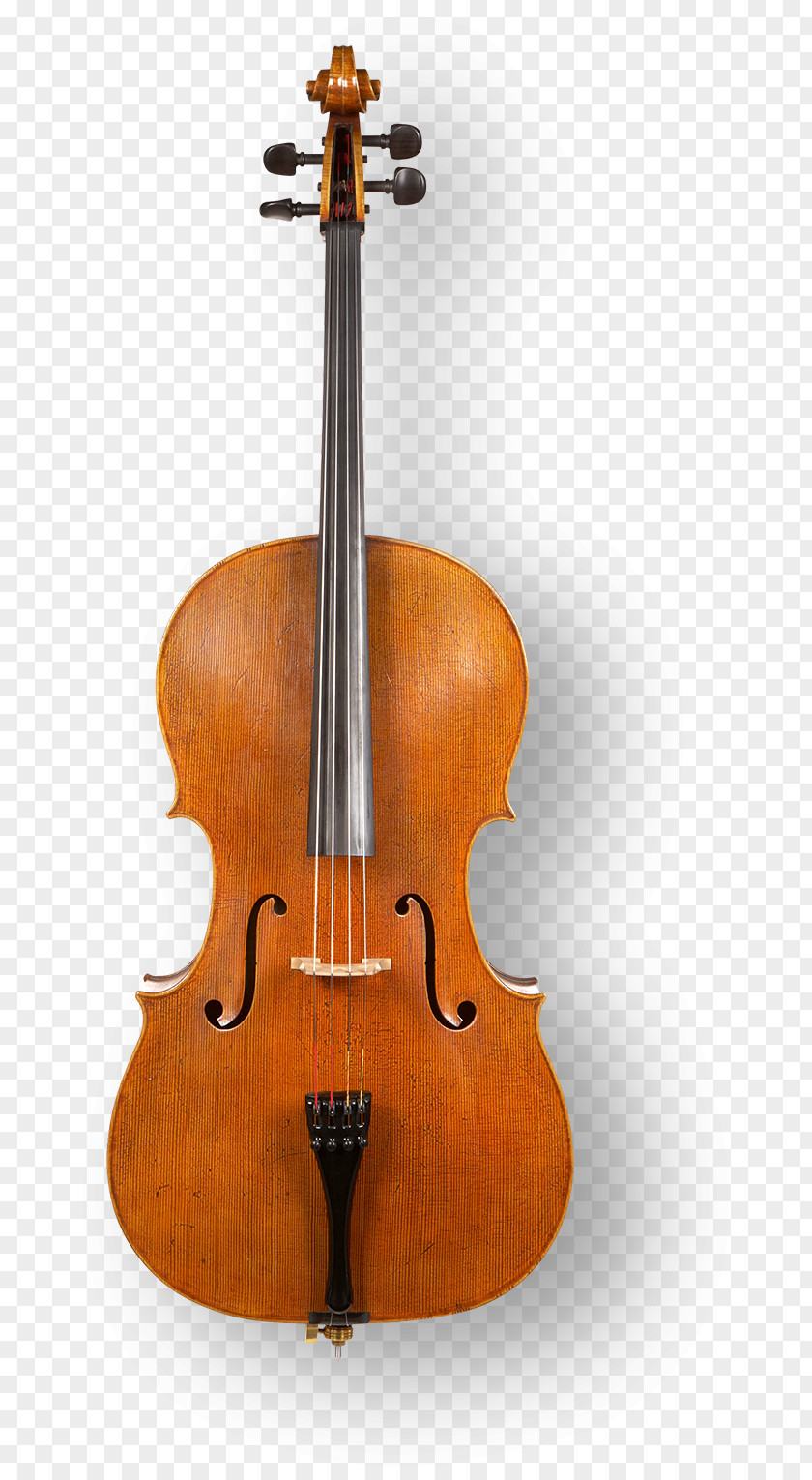 Violin Five String Bow Cello Viola PNG