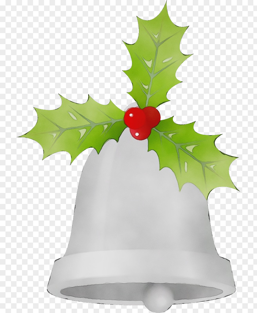 American Holly Plane PNG