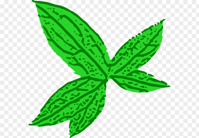 Leaves Cartoon Leaf Green Clip Art PNG