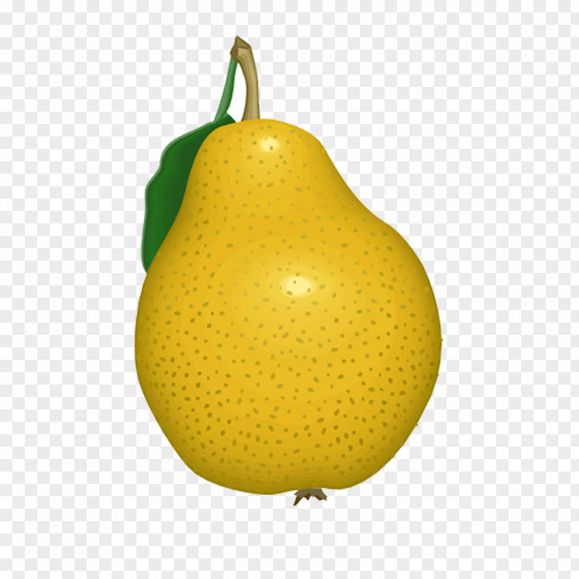 Pear Asian Grapefruit Flashcard Learning PNG