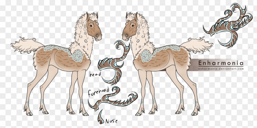 Reindeer Colt Foal Camel Pack Animal PNG