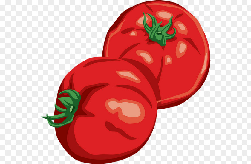 Tomato Bell Pepper Le Chalet Alpin Pizza Chili PNG