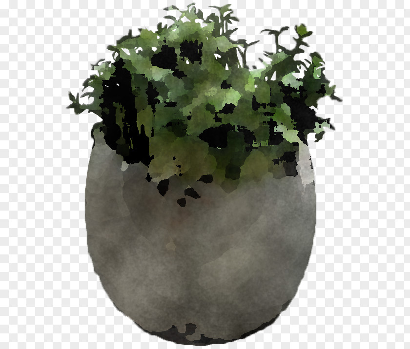 World Herb Flowerpot Green Plant Leaf Flower PNG