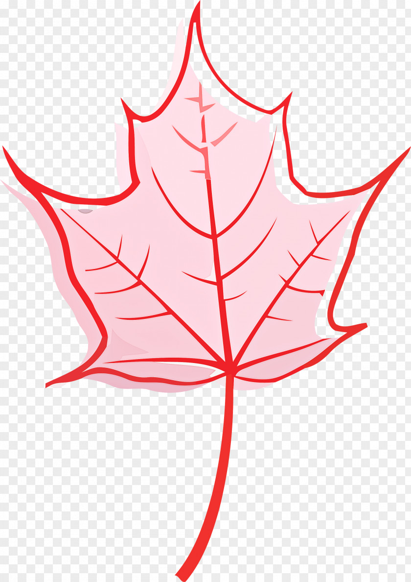 Autumn Leaf Yellow PNG