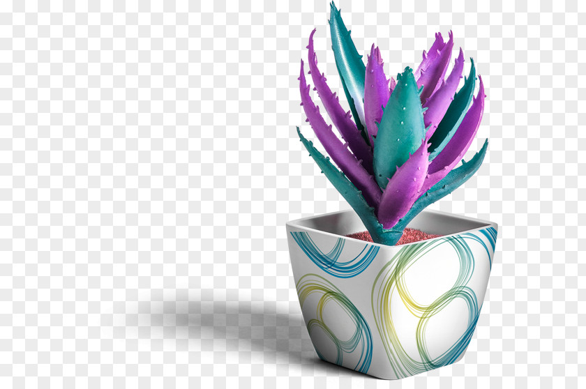 Creative Design Elements Flowerpot Mockup Graphic Logo PNG