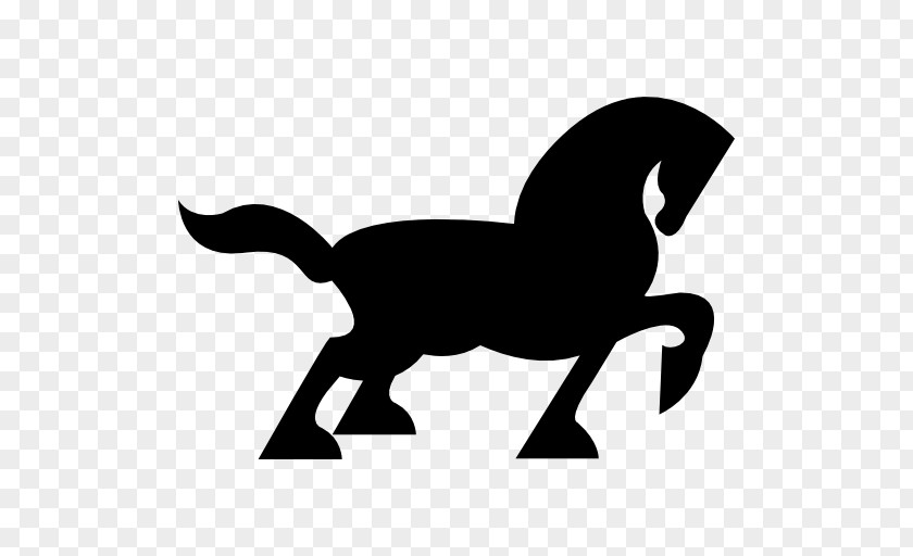 Horse Standing Black PNG