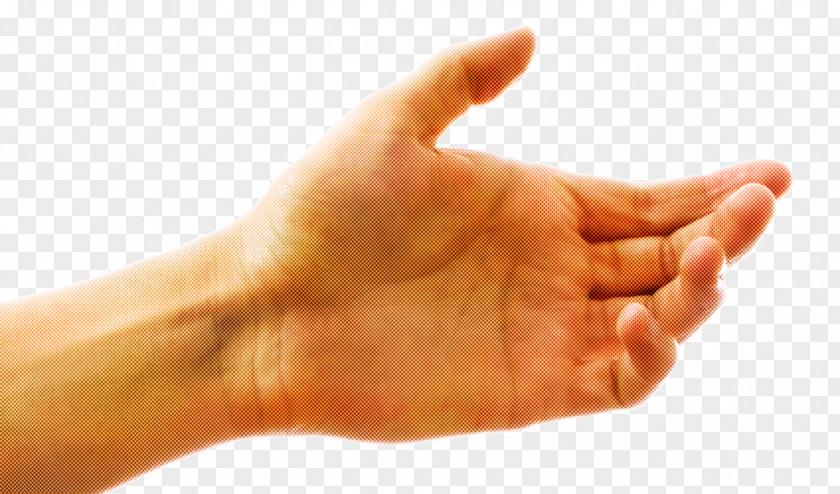 Nail Sign Language Finger Hand Thumb Wrist Arm PNG