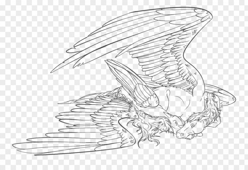Pegasus Wing Line Art And Dragon Horse Drawing Sketch PNG