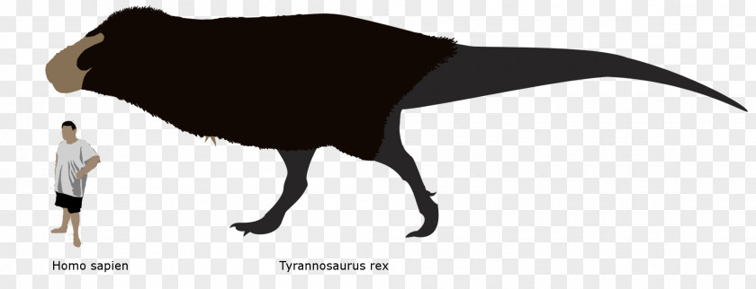 Cute T Rex Beak Bird Tyrannosaurus Image Digital Art PNG