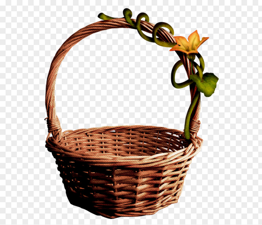 Design Basket Data PNG