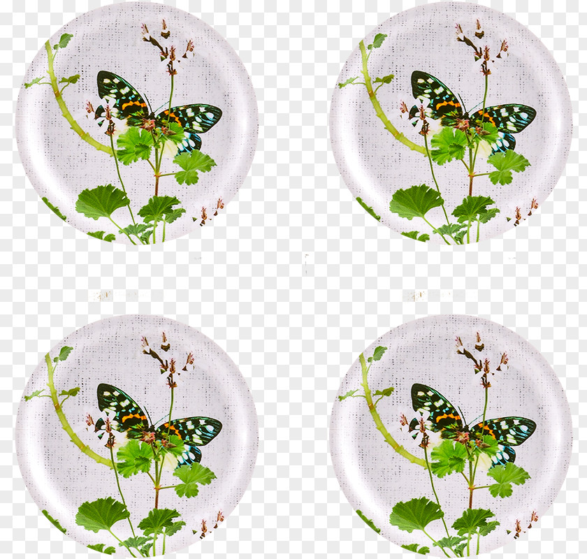 Plate Tray Coasters Material PNG