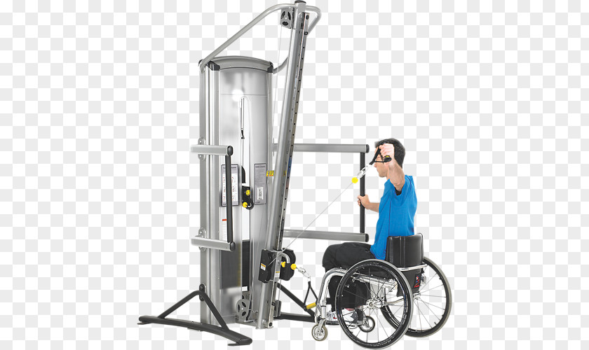 Adapted PE Equipment Physical Fitness Exercise Machine Cybex International Strength Training PNG