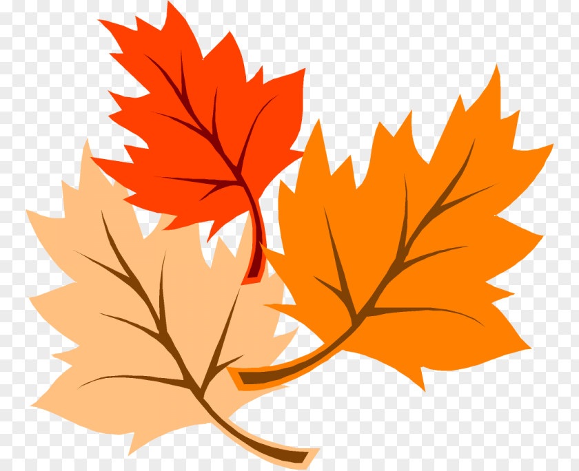Autumn Leaf Color Thanksgiving Clip Art PNG